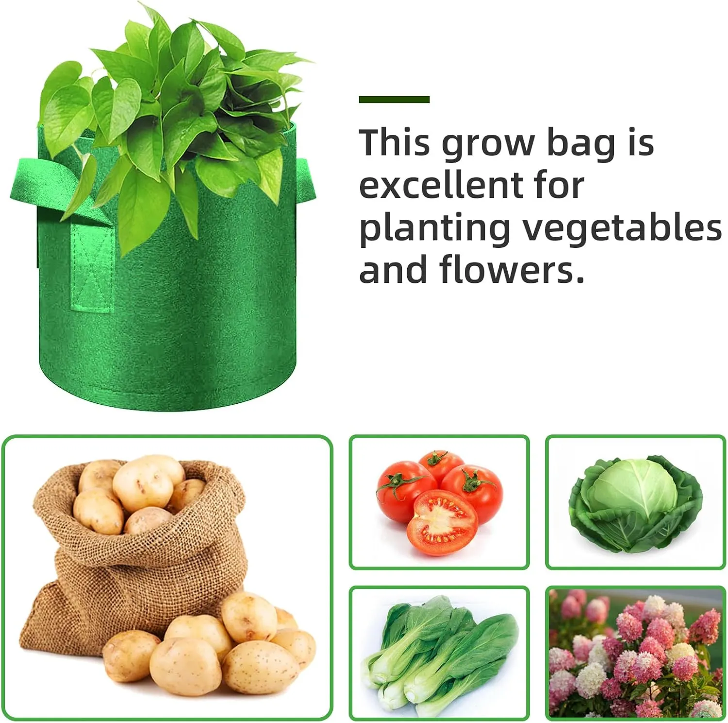 12-Pack 5 Gallon Plant Grow Bags, Thickened Nonwoven Fabric Pots with Handles, Vegetable Planter Bags Containers, Cloth Planters for Garden Vegetable/Flower/Plant/Fruits Outdoor (Green)