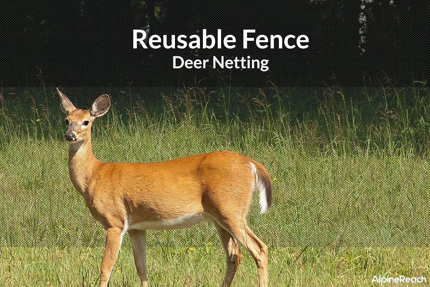 AlpineReach Garden Netting 15 x 50 ft Heavy Duty Bird Net, Deer, Plant Protection Extra Strong Woven Mesh, Reusable Kit with Zip Ties, Animal Fencing for Fruits Trees, Black