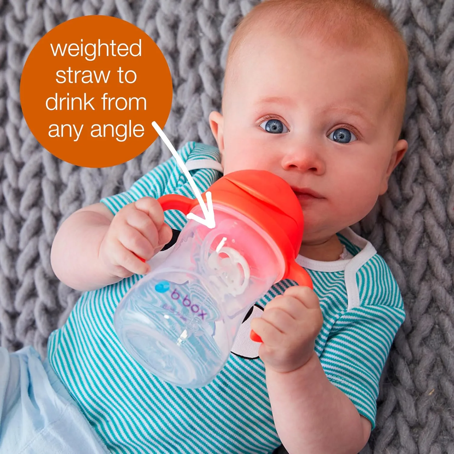 b.box Sippy Cup with Weighted Straw (2-pack). Drink from any Angle, Leak Proof, Spill Proof, Easy Grip. BPA Free, Dishwasher Safe. For Babies 6m  to Toddlers (tutti frutti   boysenberry, 8oz)