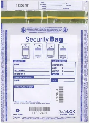 Dual Pocket Deposit Bag, 9" x 12", 100 Bags
