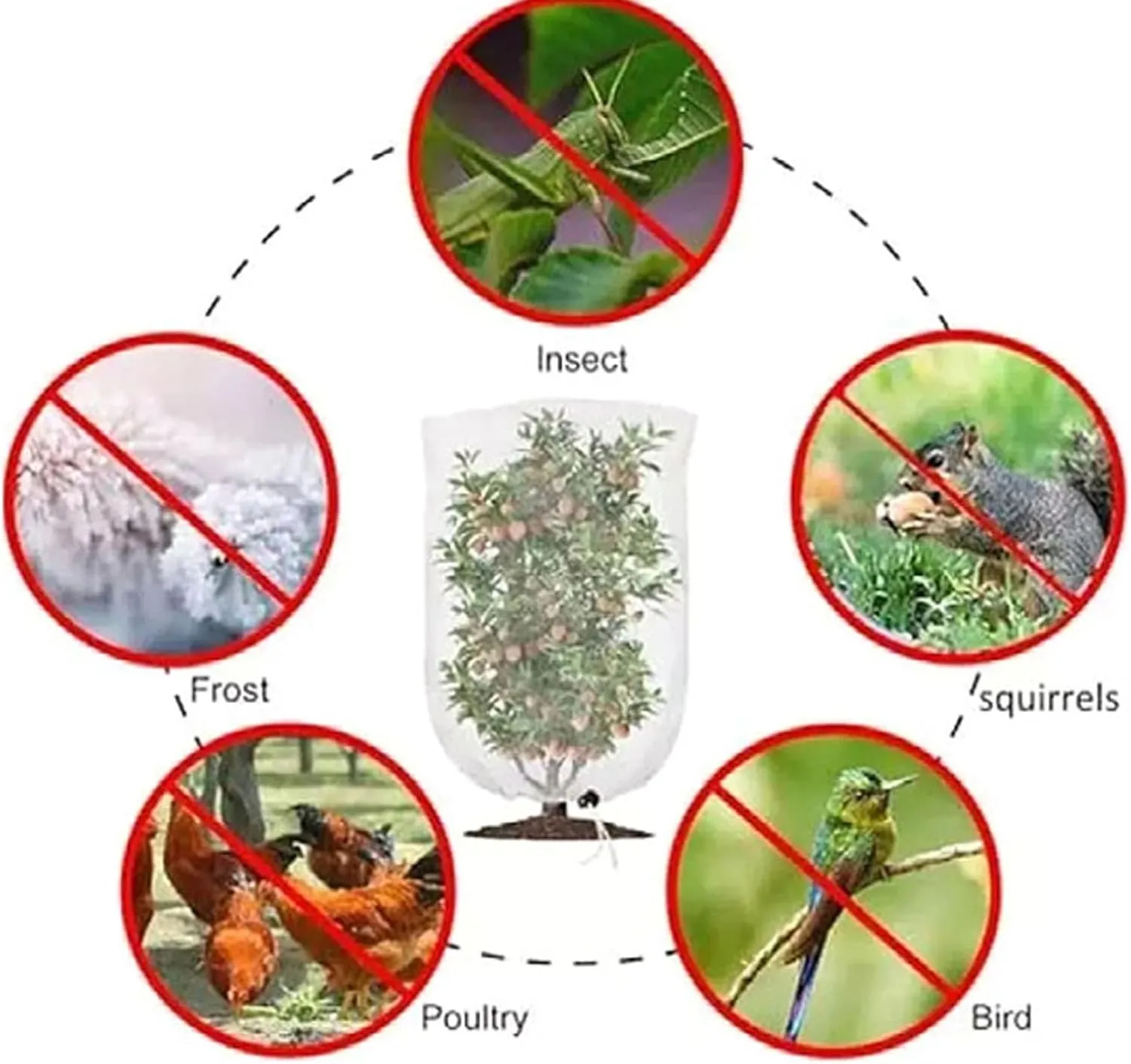 Garden Plant Network Pocket, Garden Plant Network Bag with Cord Strain Cover Blueberries Protective Network for Tomato Fruits, Blueberry Bushes, (120 * 180cm) (200 * 240cm)