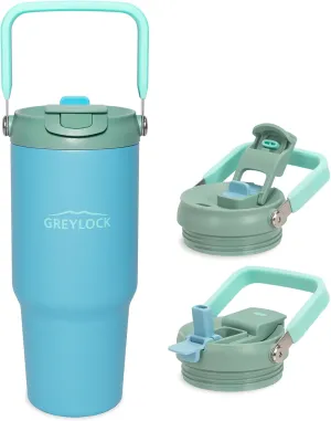 Greylock 30 oz Tumbler with Handle, Vacuum Insulated Tumblers with Flip Straw and Top Handle, Reusable Tumbler with Lid and Straw for Home, Office or Car, Leak-Proof Travel Mug, Keep Cold for 24 Hrs