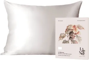 Lakeside Silk 100% Pure Mulberry Silk Pillowcase - 22 Momme 6A Grade - Nighttime Skincare & Hair Care Hydrating Pillow Cover - Sponge Wash Bag Included - Best Gift (Ice Flow, Queen (20"x30"))