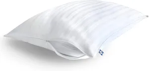 Sealy Soft Comfort 100% Cotton Zippered Encasement Machine Washable Pillow Protector- King Size- 2 Pack
